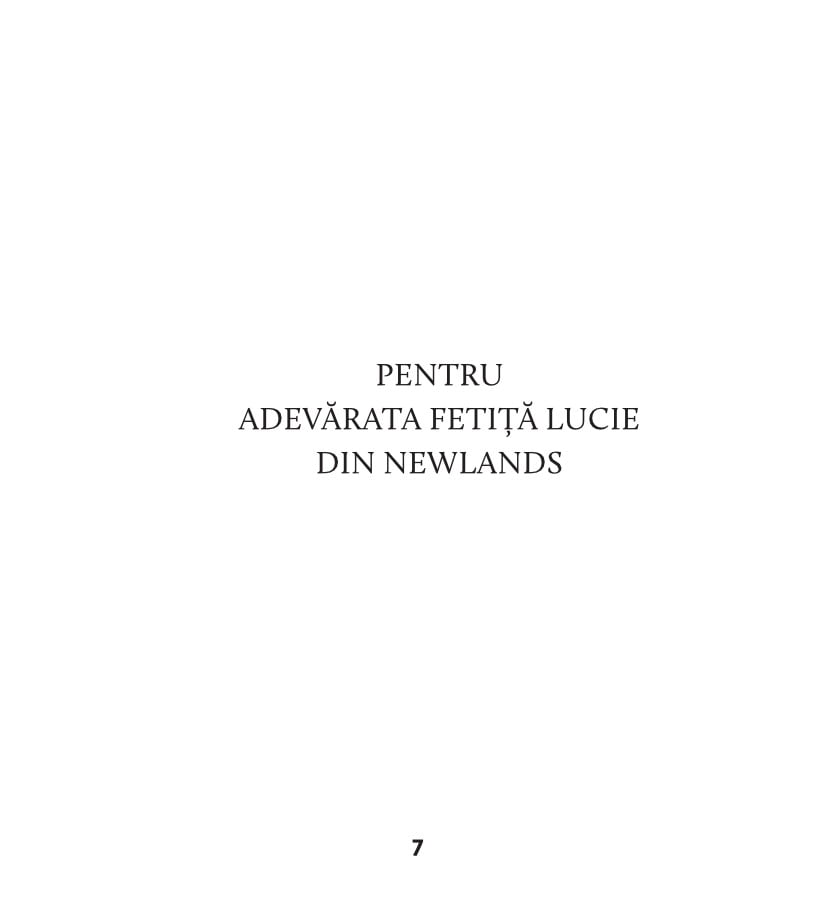 Povestea doamnei Arici Scrobelici – Beatrix Potter 9 Povestea doamnei Arici Scrobelici – Beatrix Potter - imagine 9