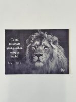 Magnet de frigider - Model 2 cu verset biblic libraria Lira