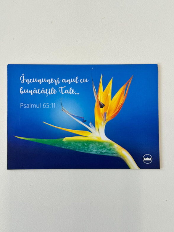 Magnet de frigider - Model 3