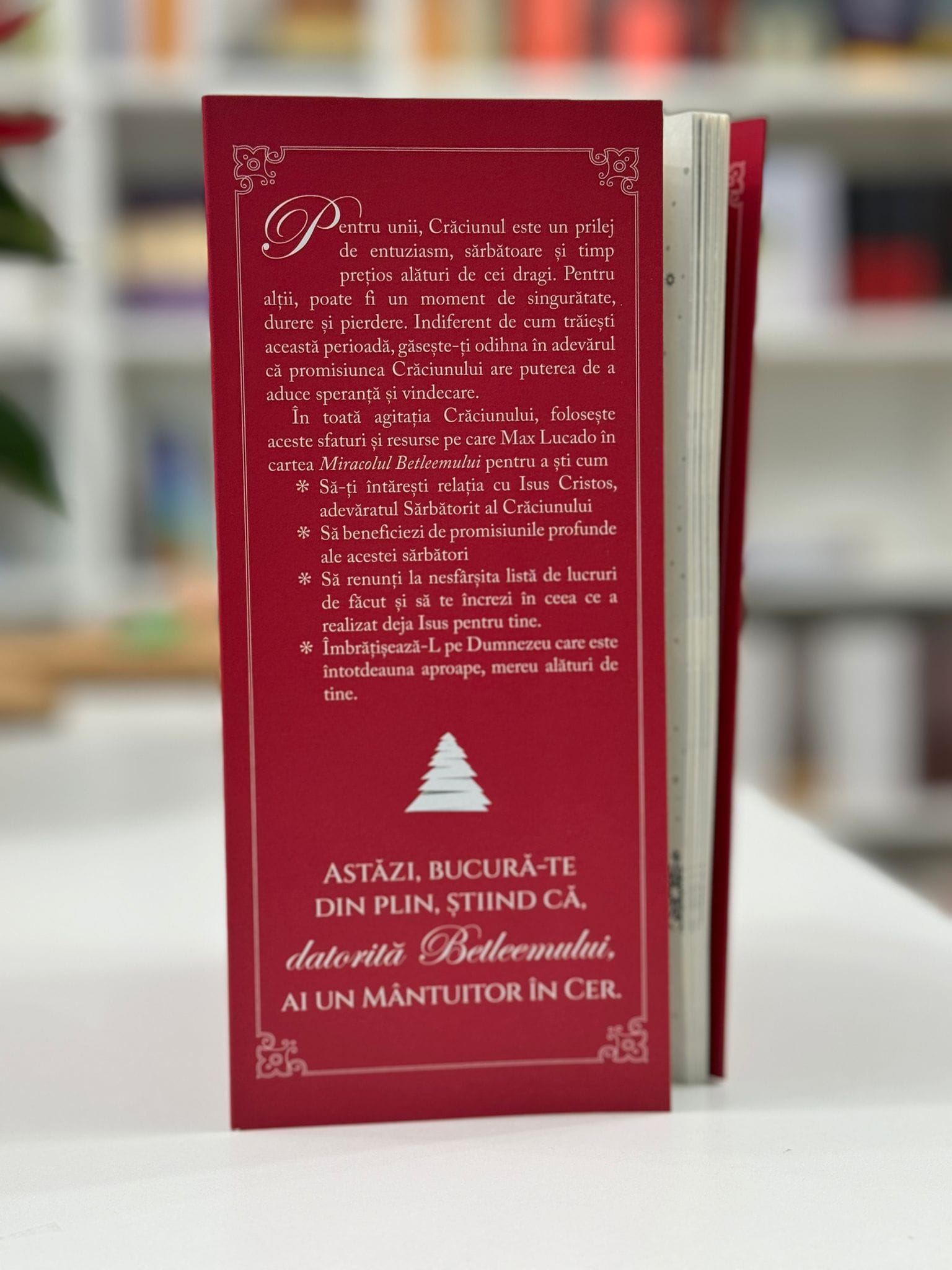 Miracolul din Betleem de Max Lucado 2 Miracolul din Betleem de Max Lucado - coperta- libraria Lira