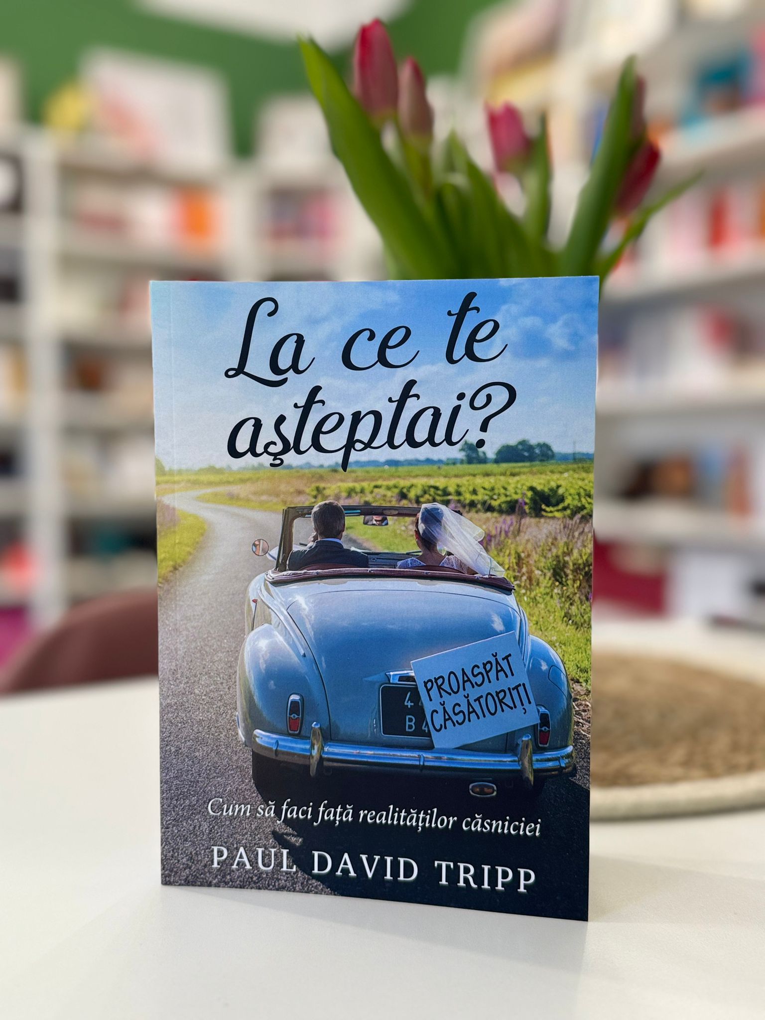 La ce te asteptai - Paul David Tripp